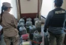 Buque con cocaína en San Lorenzo: uno de los detenidos declaró que «lo hacían tres o cuatro veces por mes»