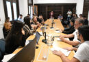 Trabajo en las comisiones de Obras Públicas, Producción, Gobierno, Cultura, Deportes y Presupuesto