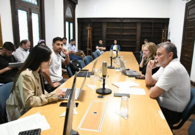 Trabajo en las comisiones de Cultura, Obras Públicas, Deportes, Gobierno y Producción
